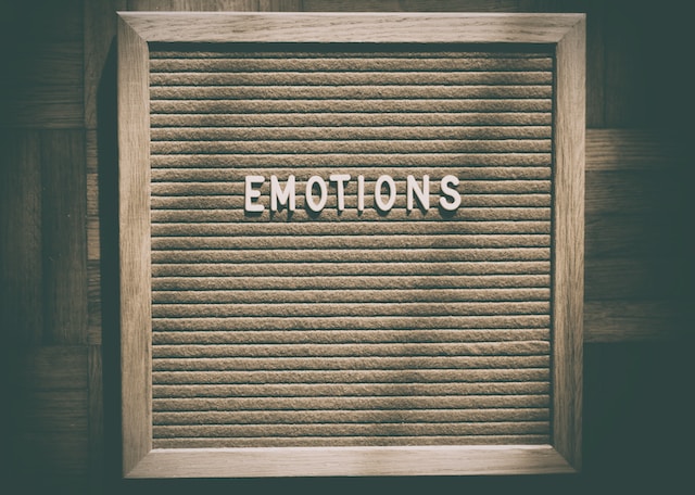 Beyond the Surface: Understanding Emotions